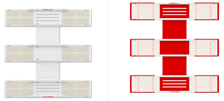 COMPARING SCORPION DIABLO VS SCORPION R SPEC®