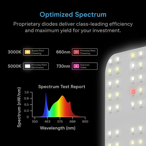 IONBOARD S24, Grow Light Board 220W, Full Spectrum LED 2x4 Coverage