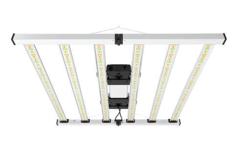 6-Bar 680w Mammoth Lighting Mint White Series with Emerald Green + Red Terp Boost Spectrum