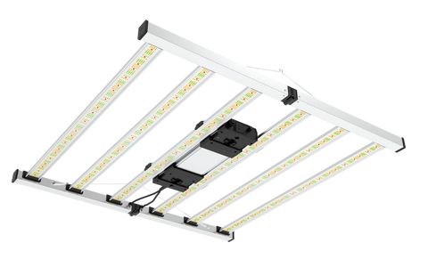 6-Bar 680w Mammoth Lighting Mint White Series with Emerald Green + Red Terp Boost Spectrum