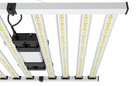 8-Bar 860w Mammoth Lighting Mint White Series with Emerald Green + Red Terp Boost Spectrum