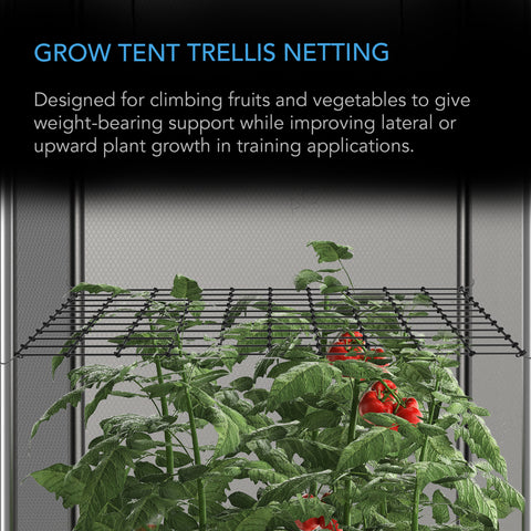 AC Infinity Grow Tent Trellis Netting 2x4